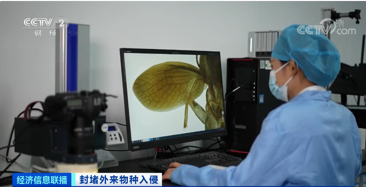 11月15日,“中国首次截获全球新物种”词条位居微博热搜第一
