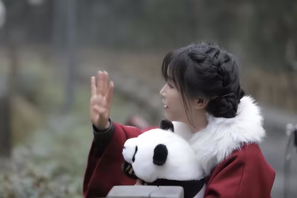 伟年与李达成和解,伟年创始人刘退出李公司